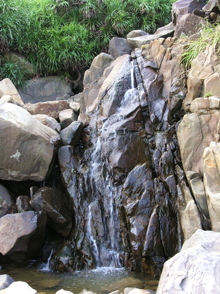 DSCN4509_副本.jpg